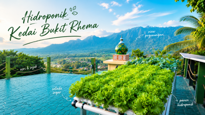 featured-sayur-hidroponik-kedai-bukit-rhema Pemandangan kebun sayur hidroponik di Kedai Bukit Rhema Borobudur