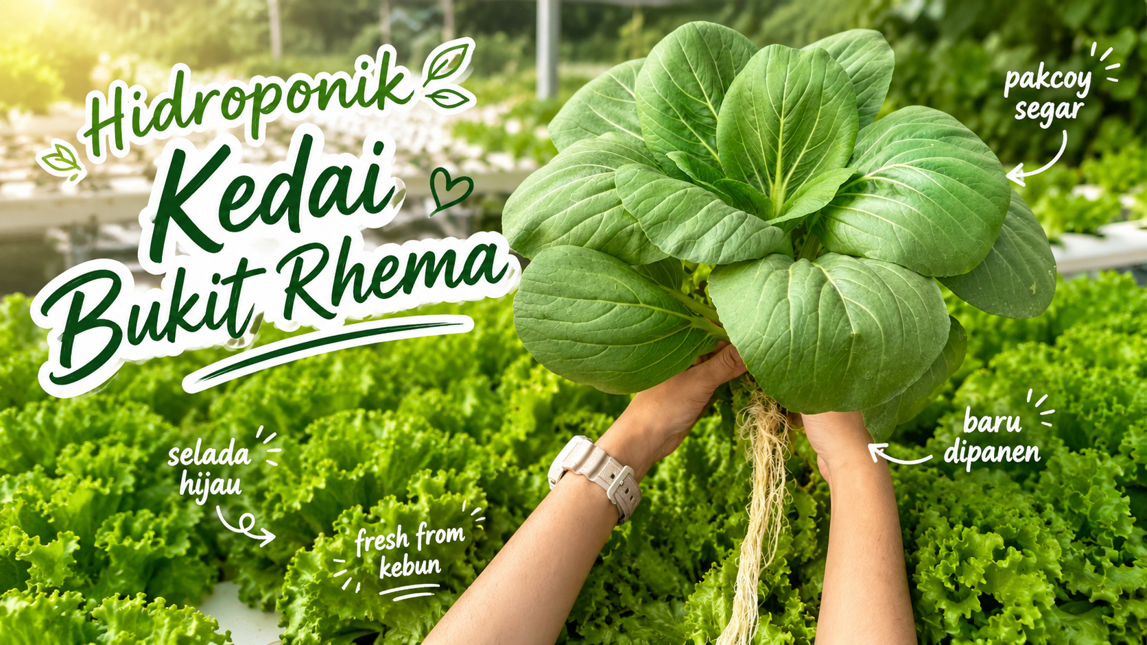Nikmati Sayur Hidroponik Segar Kedai Bukit Rhema di Borobudur 6 Hidangan lezat dengan sayur hidroponik segar di meja makan Kedai Bukit Rhema
